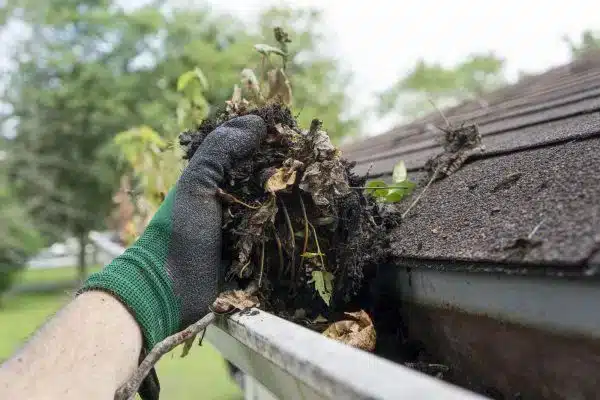Gutter Cleaning Company Near Me in Columbia SC 4